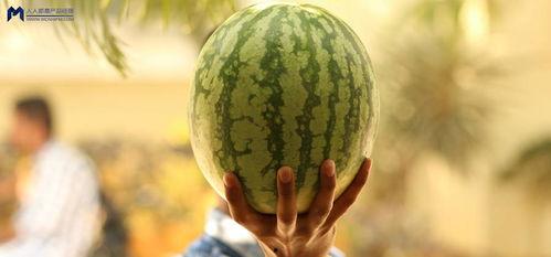 今年娱乐的吃瓜事件,盘点那些让人瞠目结舌的吃瓜事件