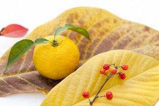 柚子娱乐吃瓜,揭秘娱乐圈最新吃瓜事件,带你领略明星幕后故事