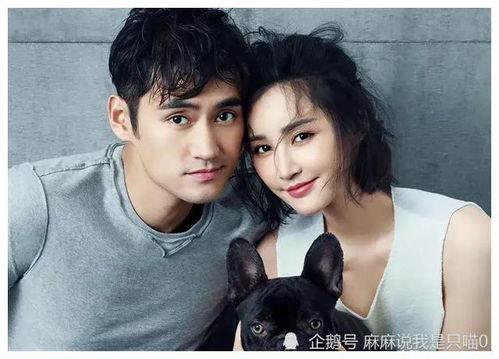 吃瓜娱乐圈又有新瓜了吗,揭秘明星幕后故事