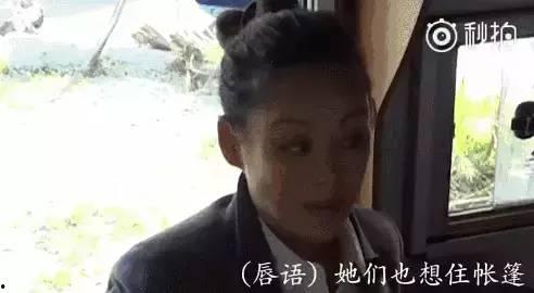 娱乐圈吃瓜许晴,娱乐圈的“吃瓜女王”,揭秘明星背后的故事