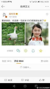 娱乐吃瓜周冬雨视频全集,全程笑料不断,明星日常曝光